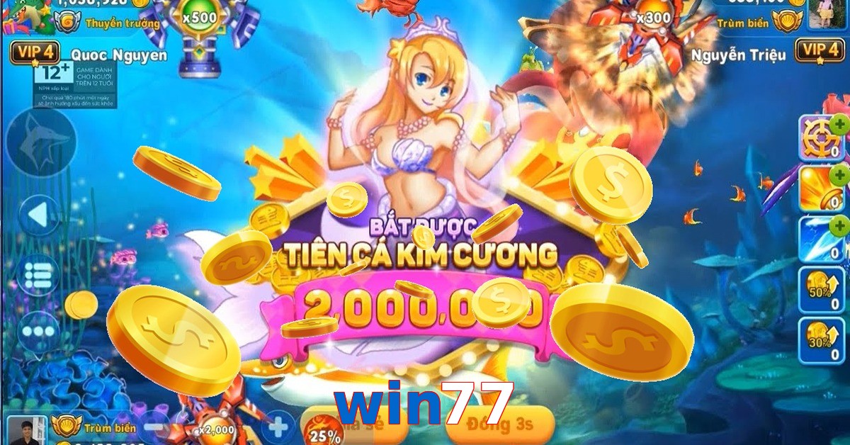 win77