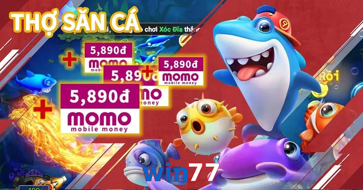 win77