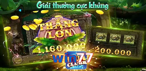 win77